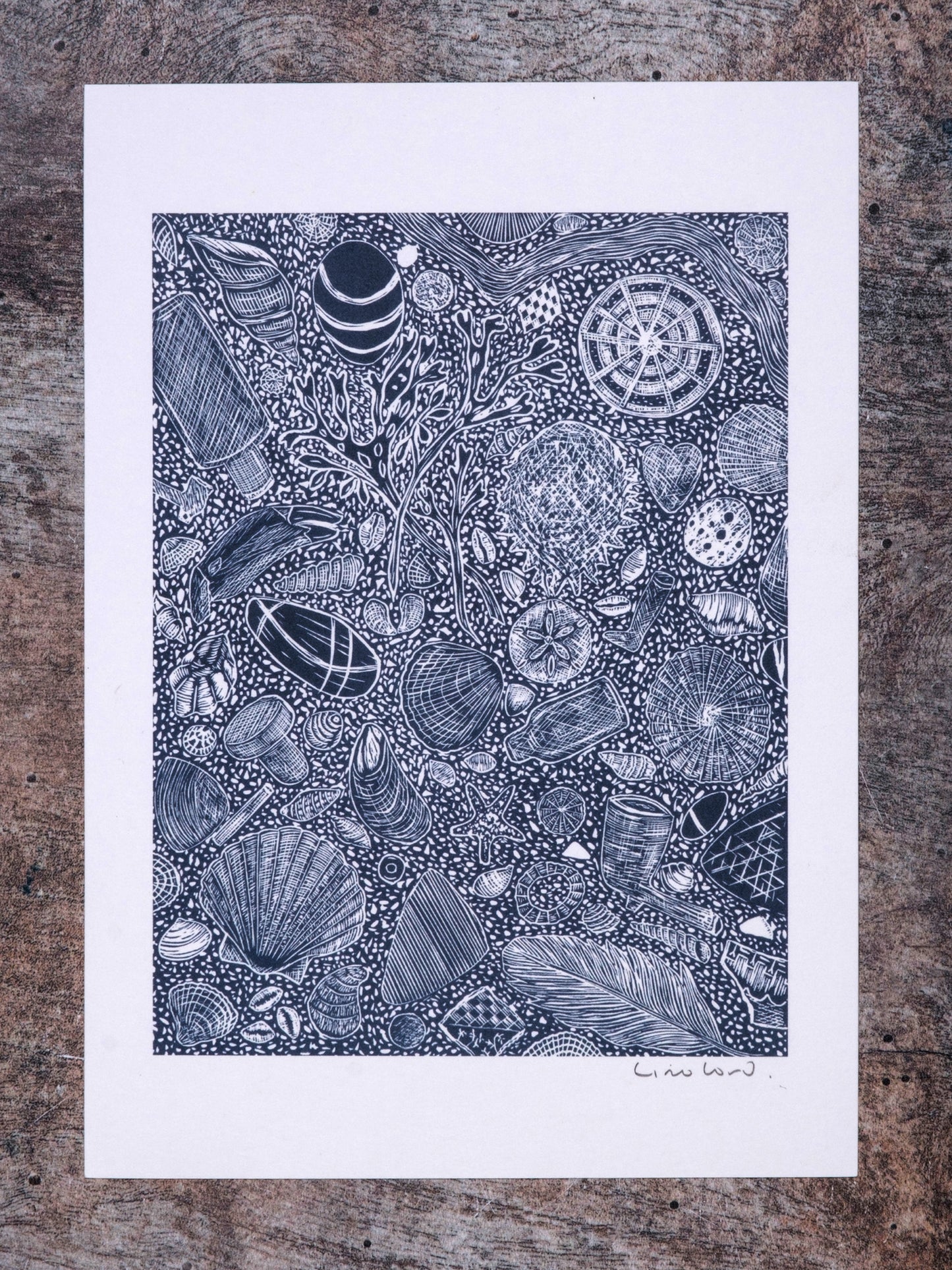 Hidden Beach Finds, Digital Print