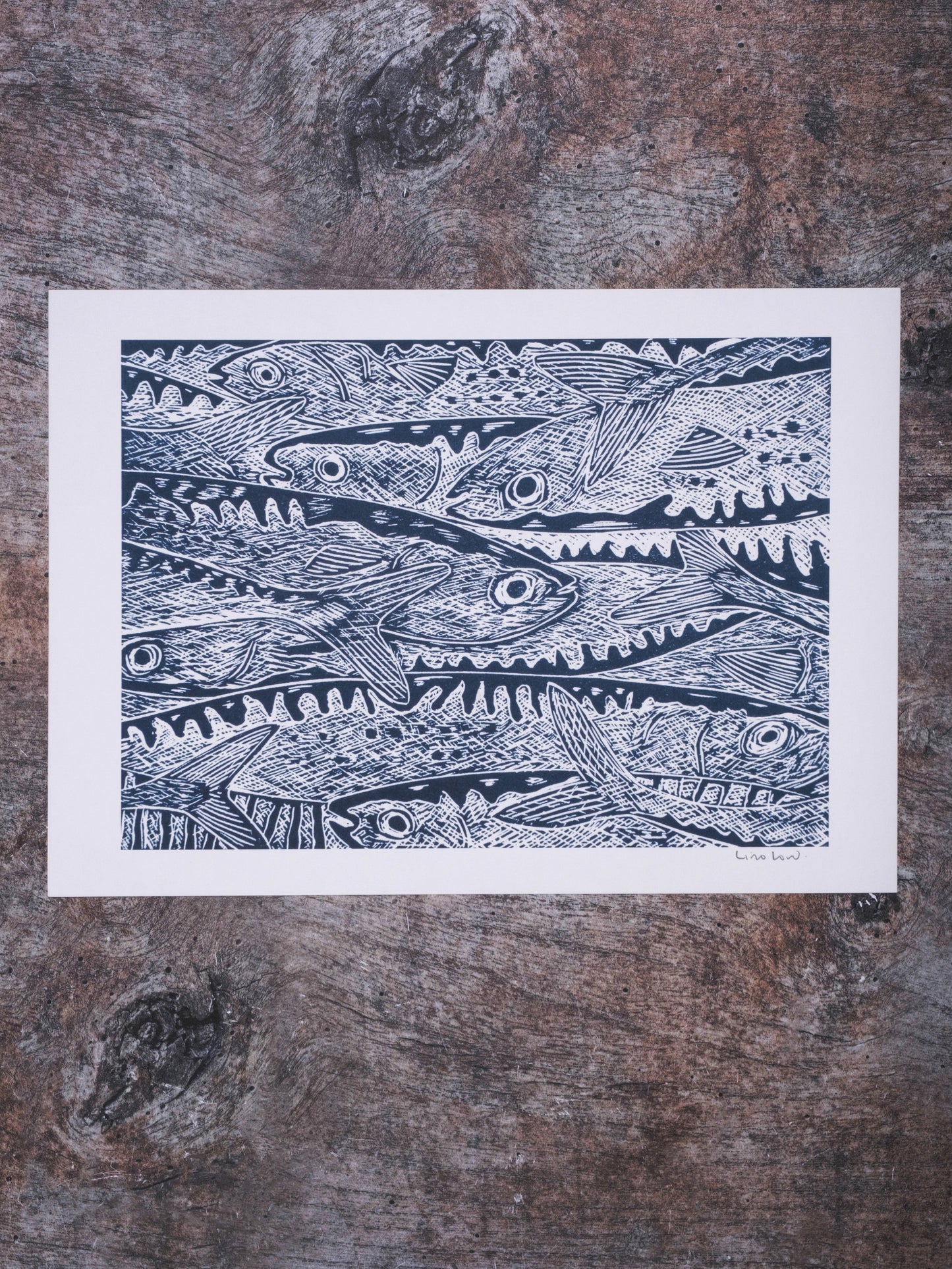 Heads or Tails Digital Print