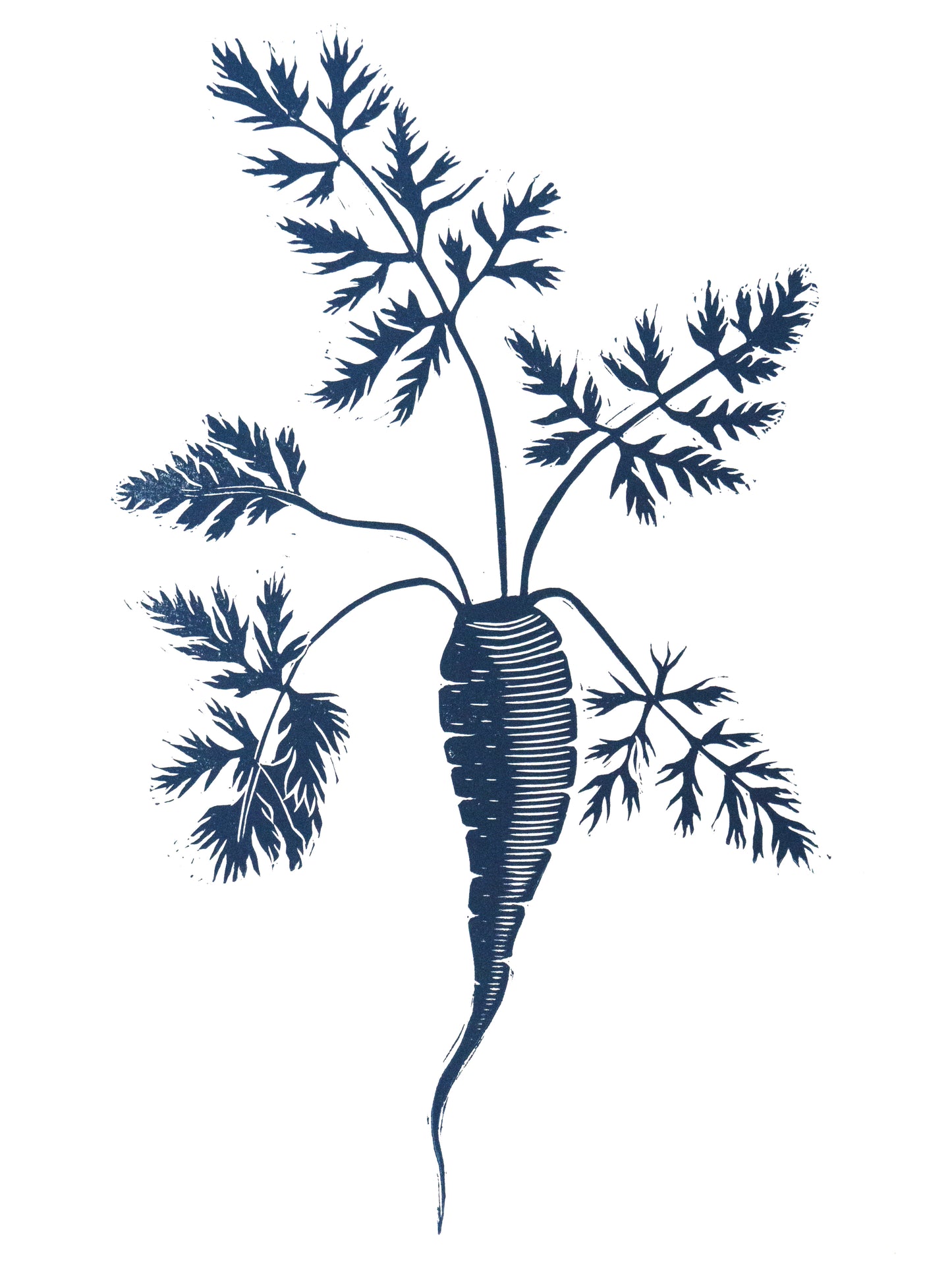 Carrot Limited Edition Lino Print - Test Print