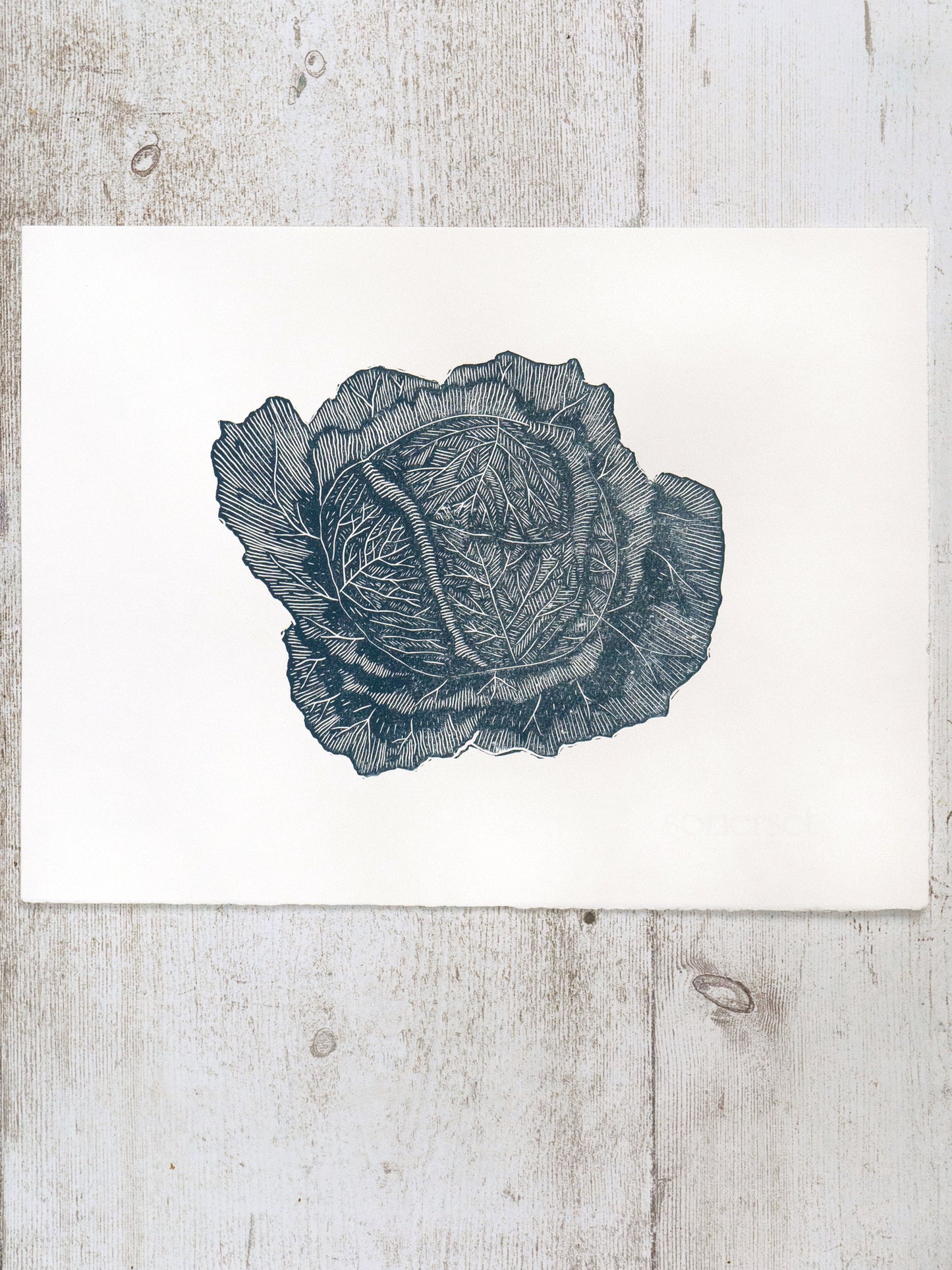 Savoy Cabbage Lino Print - Test Print