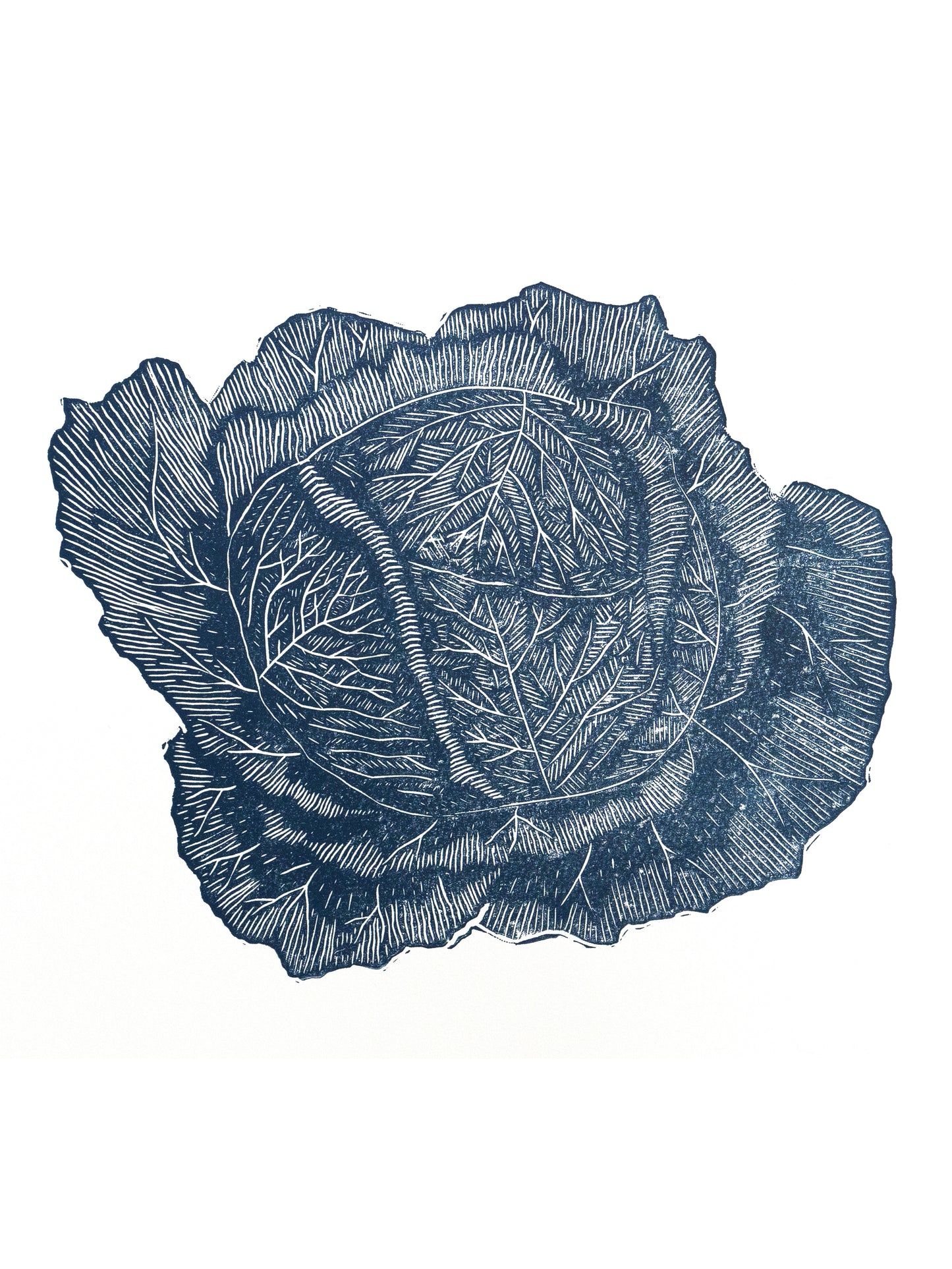 Savoy Cabbage Lino Print - Test Print