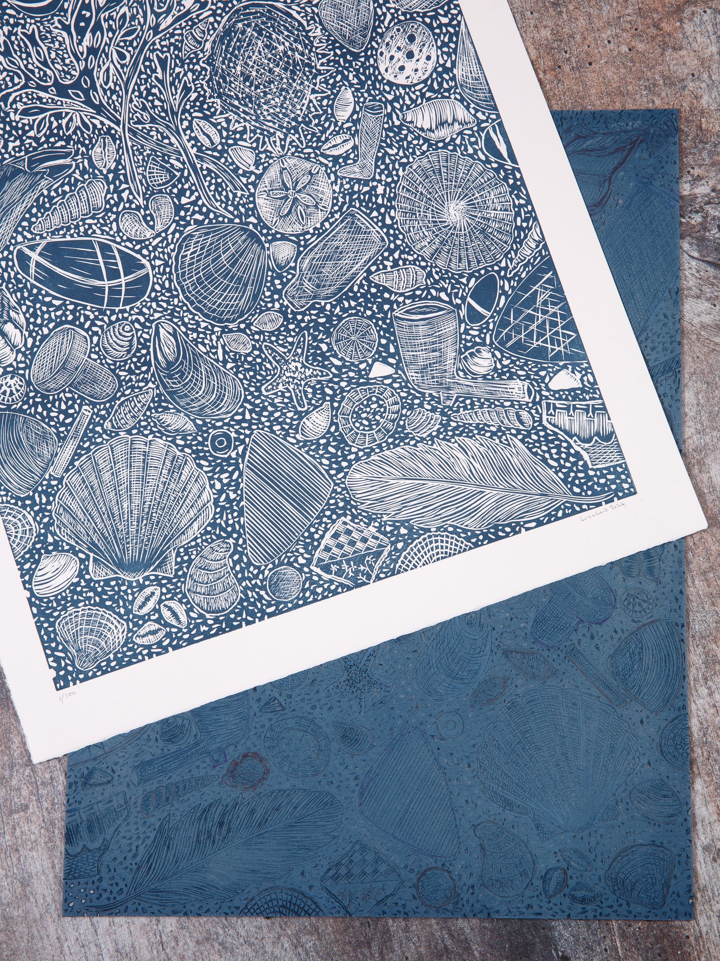 Hidden Beach Finds, Limited Edition Lino Print