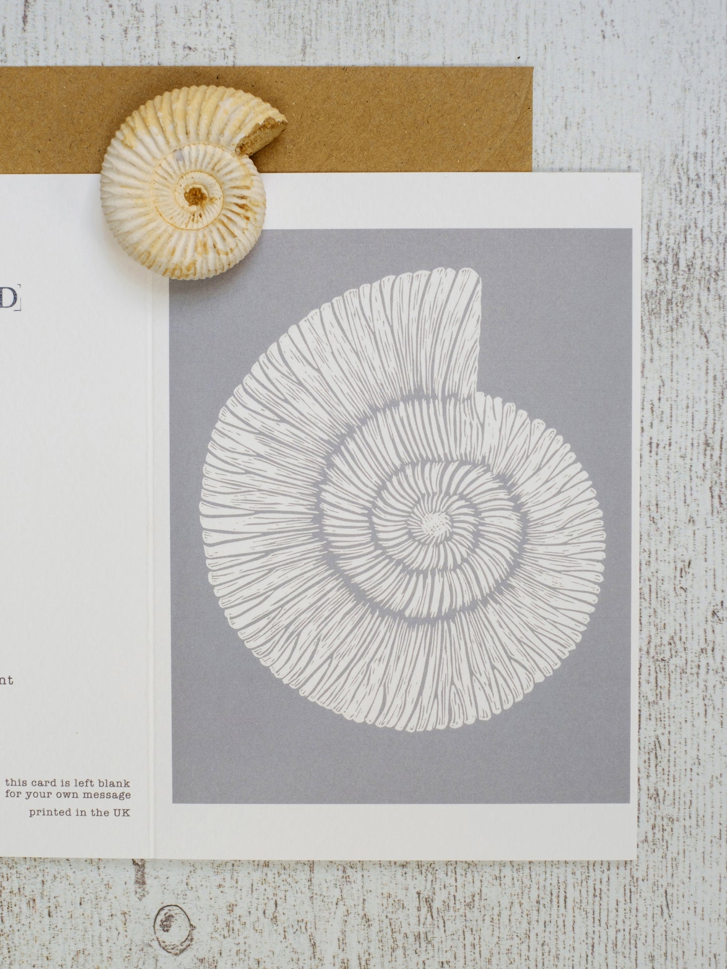 Ammonite Fossil A6 Greeting Card
