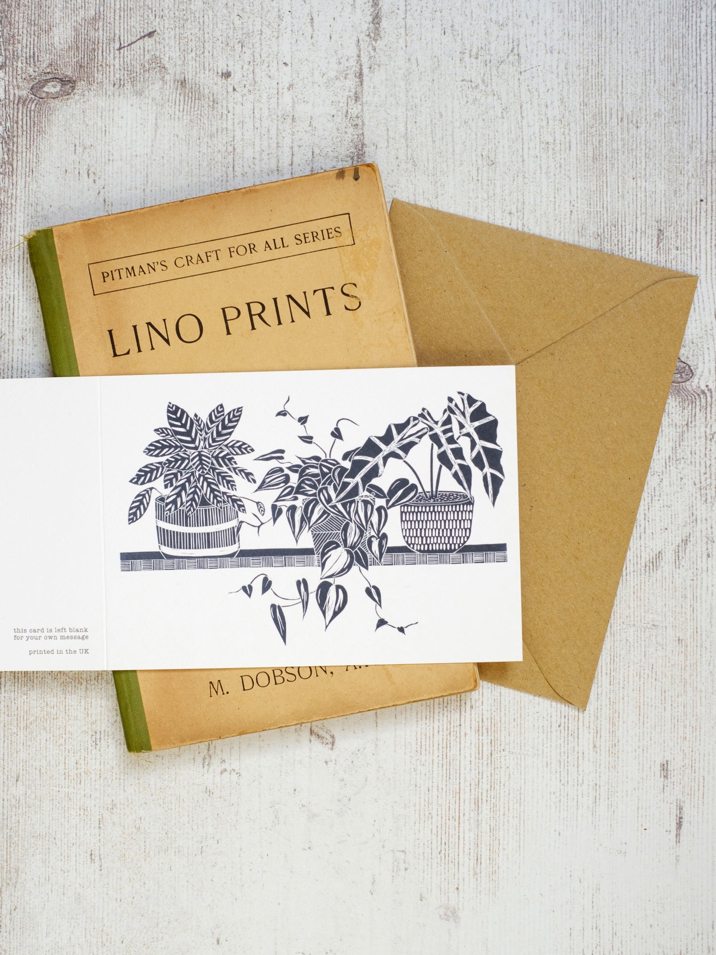Three House Plants on a Shelf A6 Greeting Card