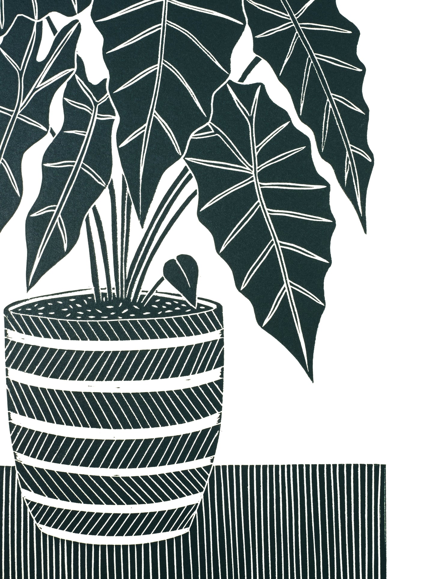Mask Plant Lino Prints | African Mask Plant | Lino Lord\