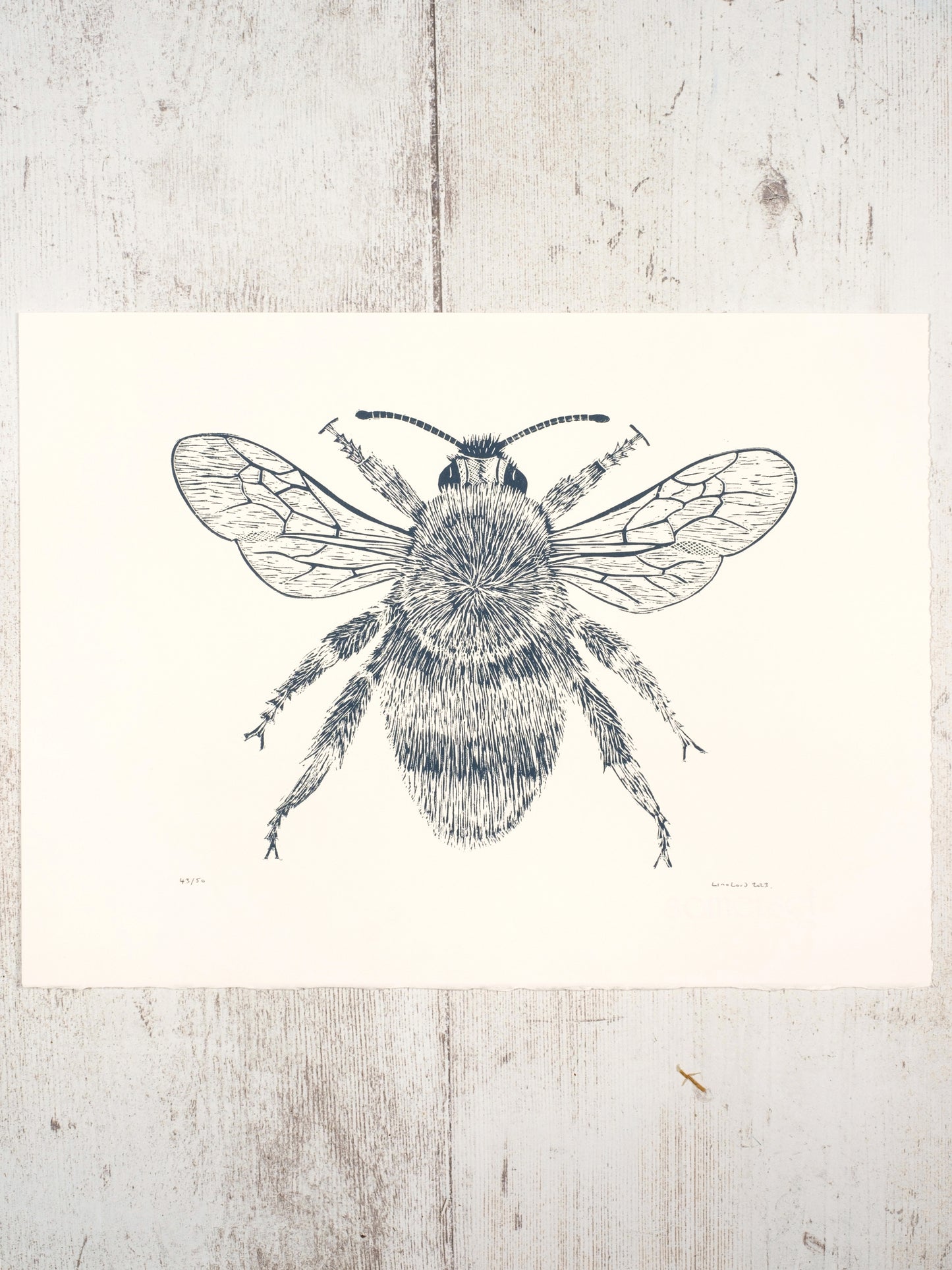 Bumblebee Lino Prints | Lino Lord