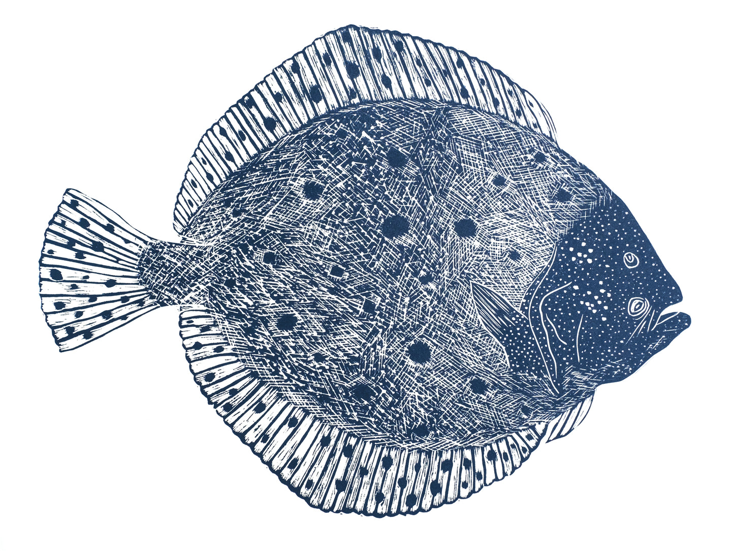 Turbot Fish Lino Prints | Coastal Lino Prints | Lino Lord