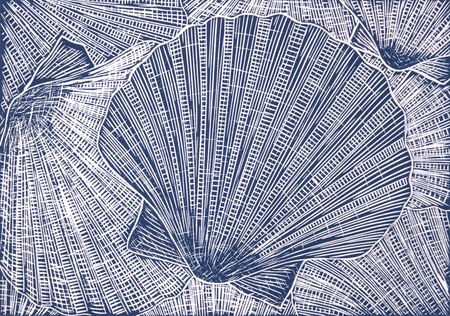 Collection of Scallop Shells Limited Edition Lino Print