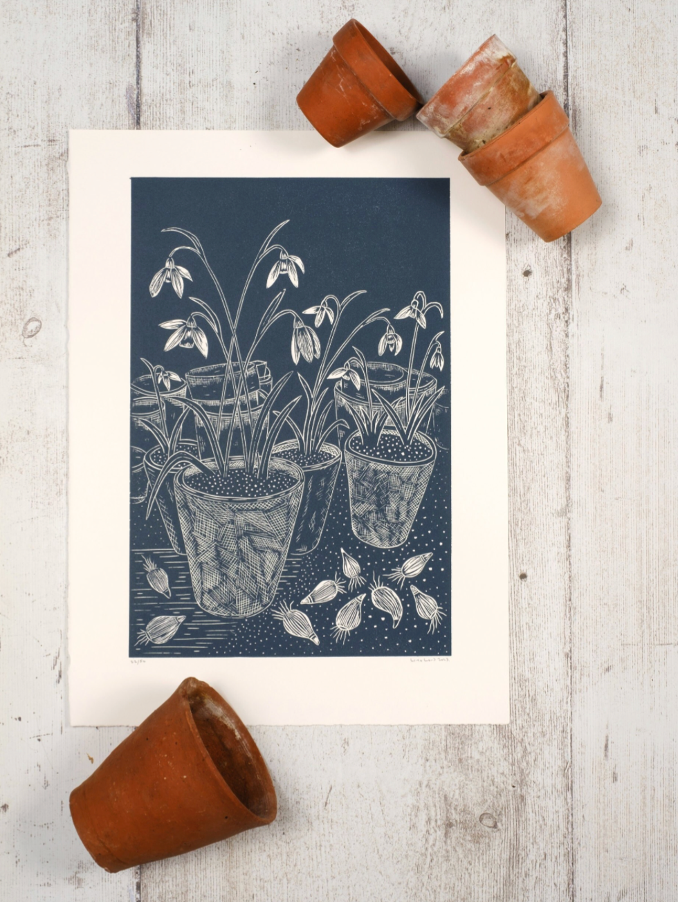 Lino Lord Workshop - Duchy of Cornwall Nursery