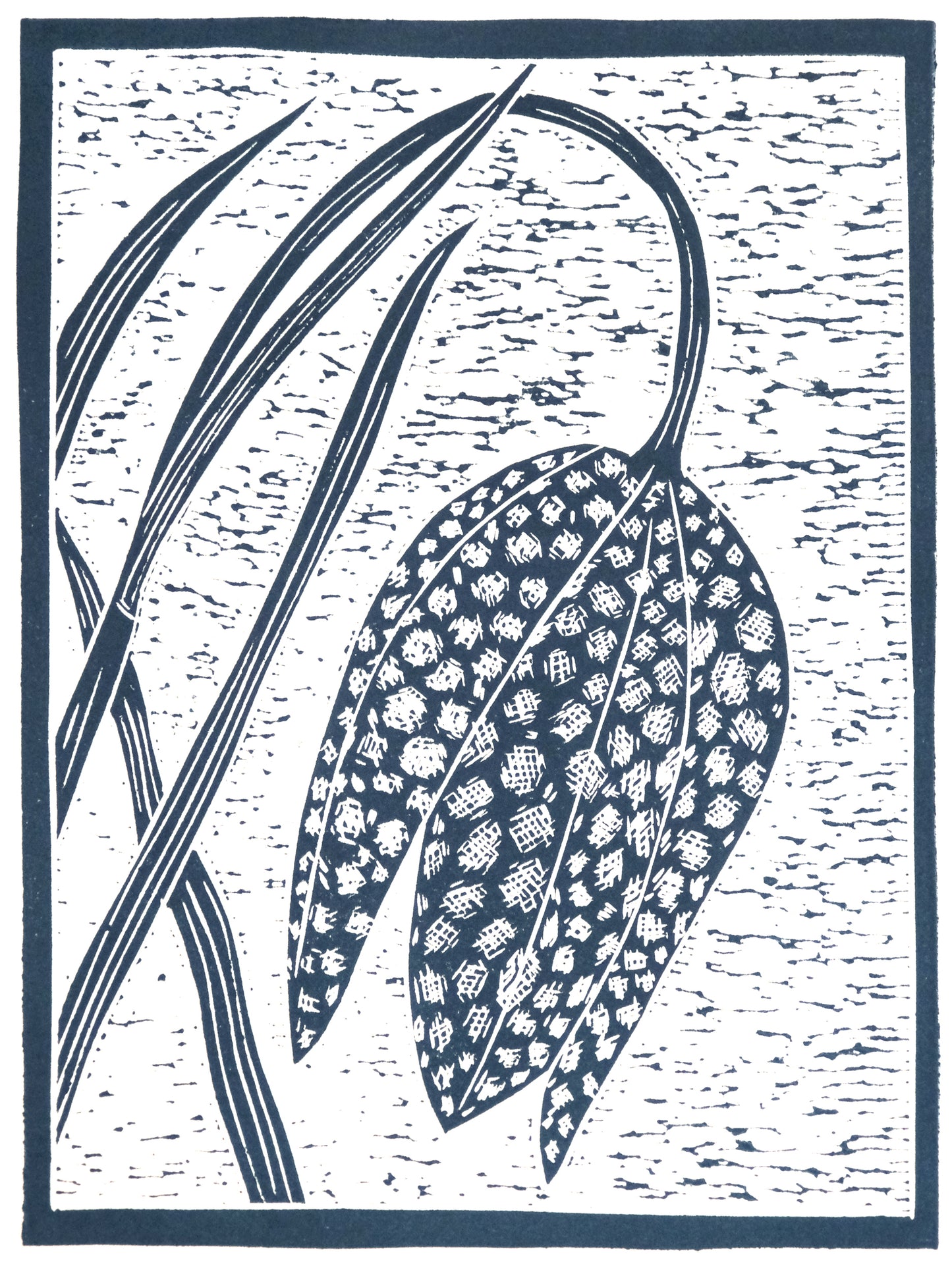 Snakeshead Fritillary, Limited Edition Lino Print