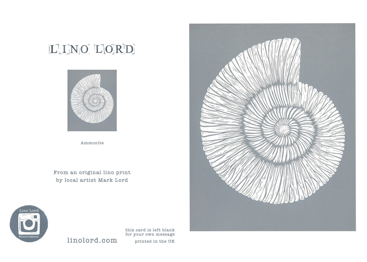 Ammonite Fossil A5 Greeting Card