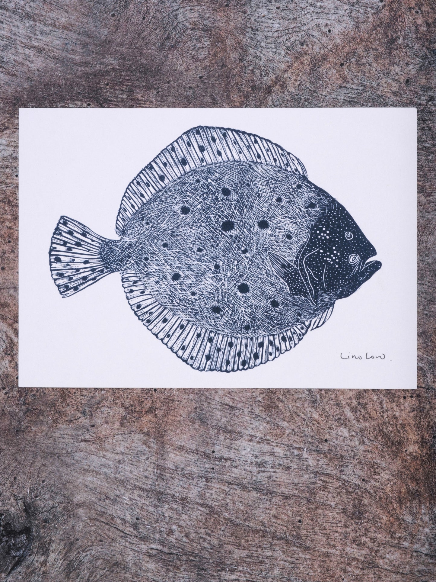 Turbot Digital Print