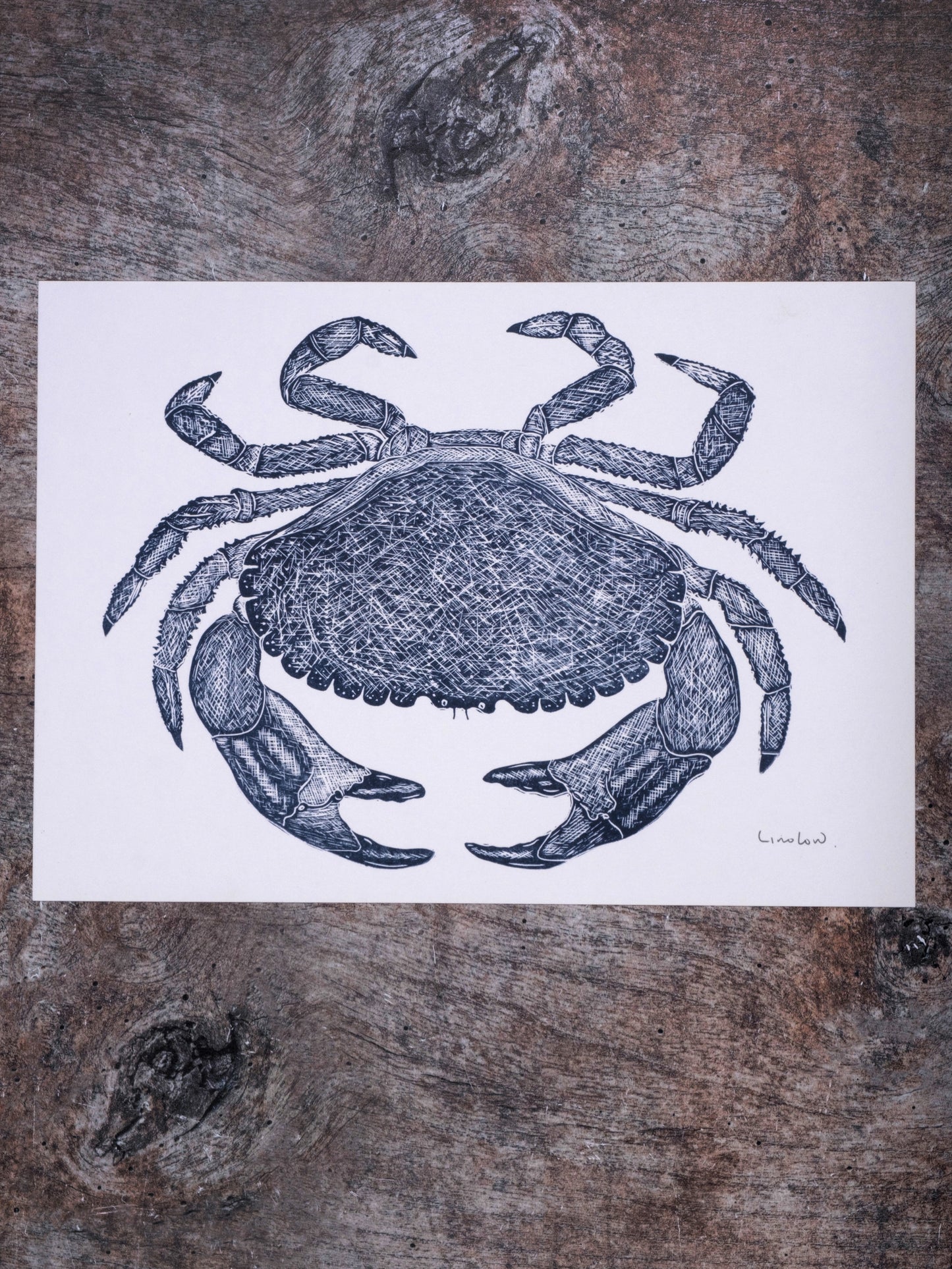Brown Crab Digital Print