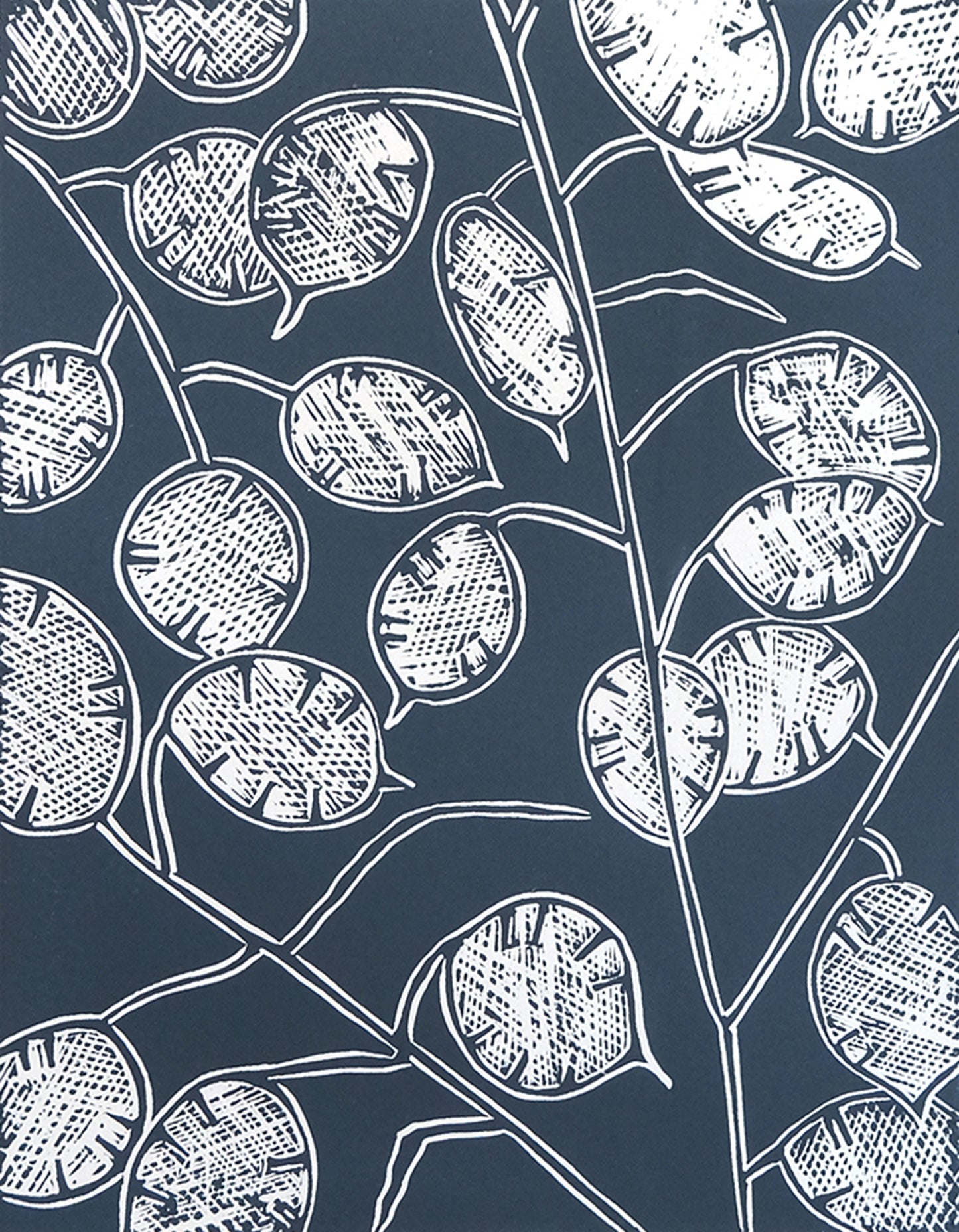 Honesty Seedheads, Limited Edition Lino Print