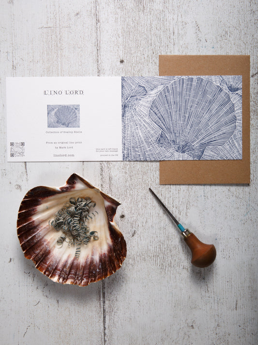 Collection of Scallop Shells A6 Greeting Card