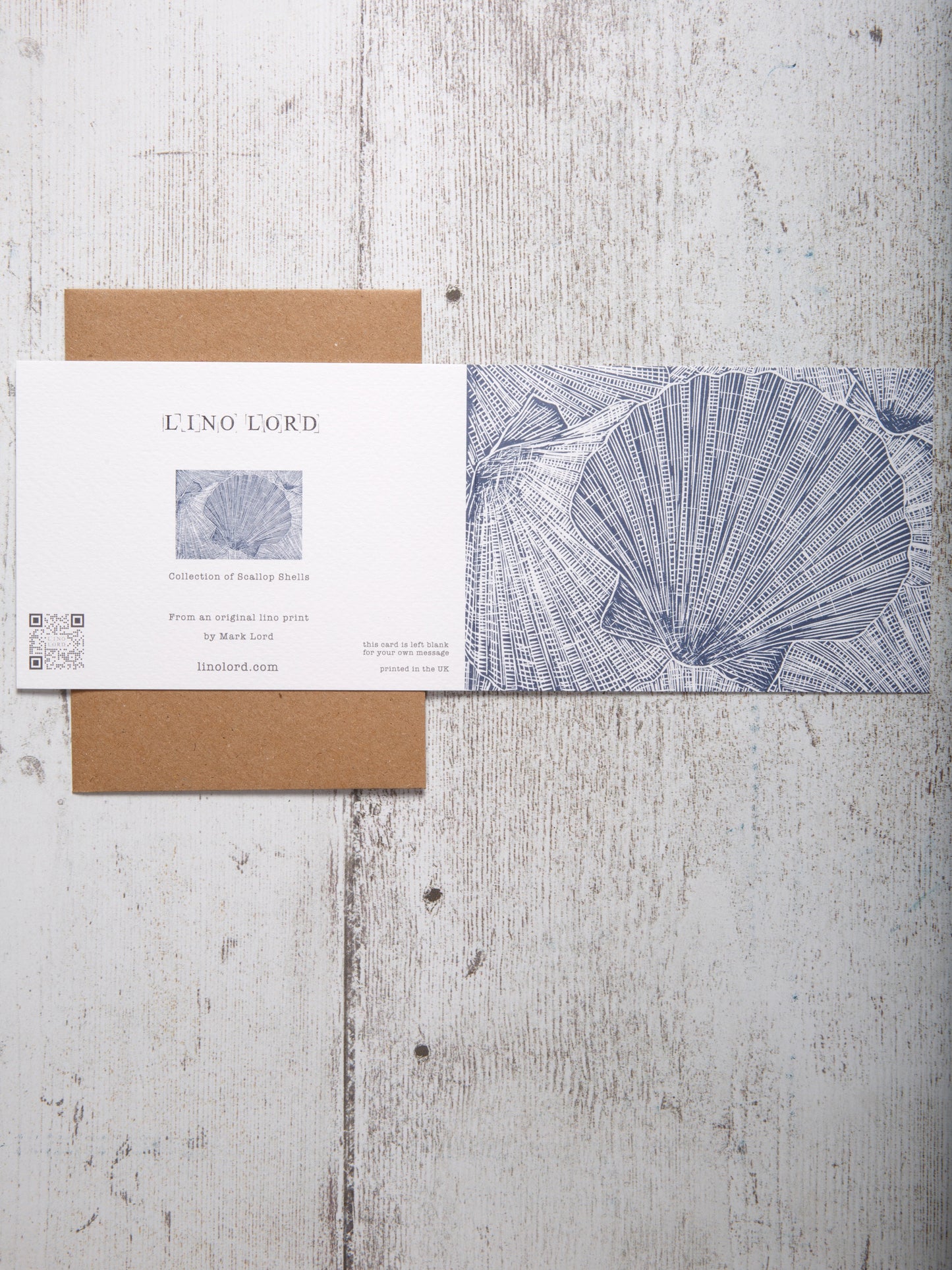 Collection of Scallop Shells A6 Greeting Card