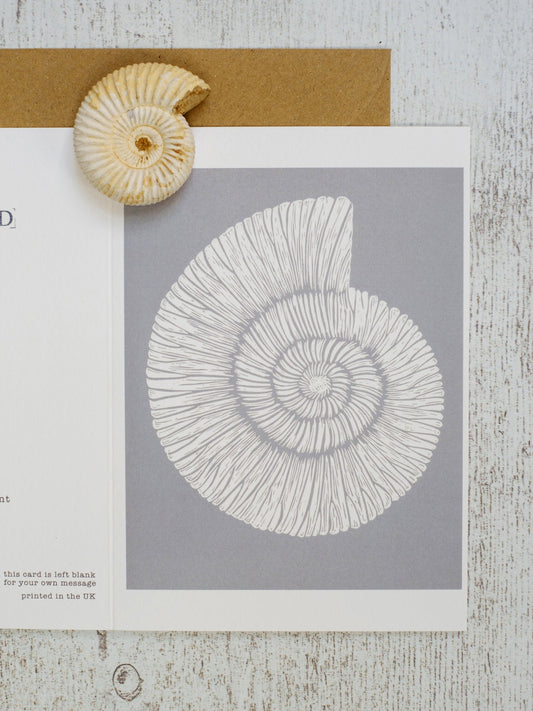 Ammonite Fossil A5 Greeting Card