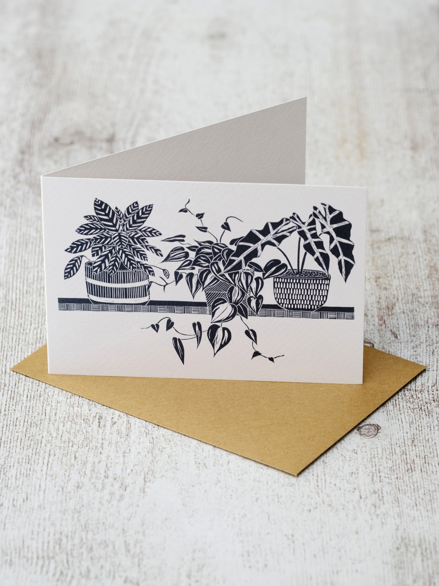 Three House Plants on a Shelf A6 Greeting Card