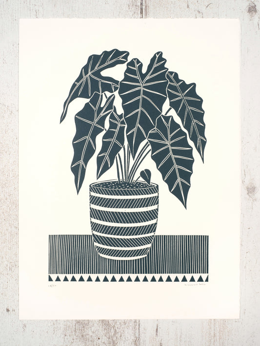 Mask Plant Lino Prints | African Mask Plant | Lino Lord