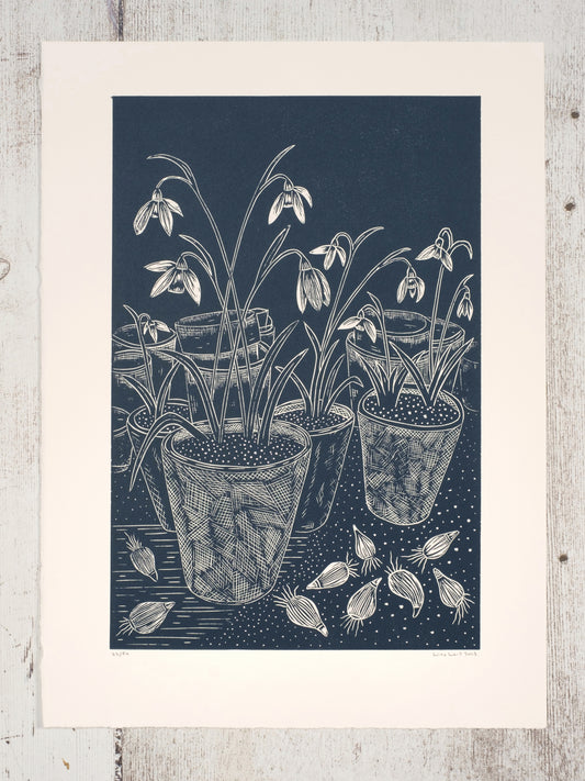 Potting Shed Lino Print | Terracotta Pots Prints | Lino Lord