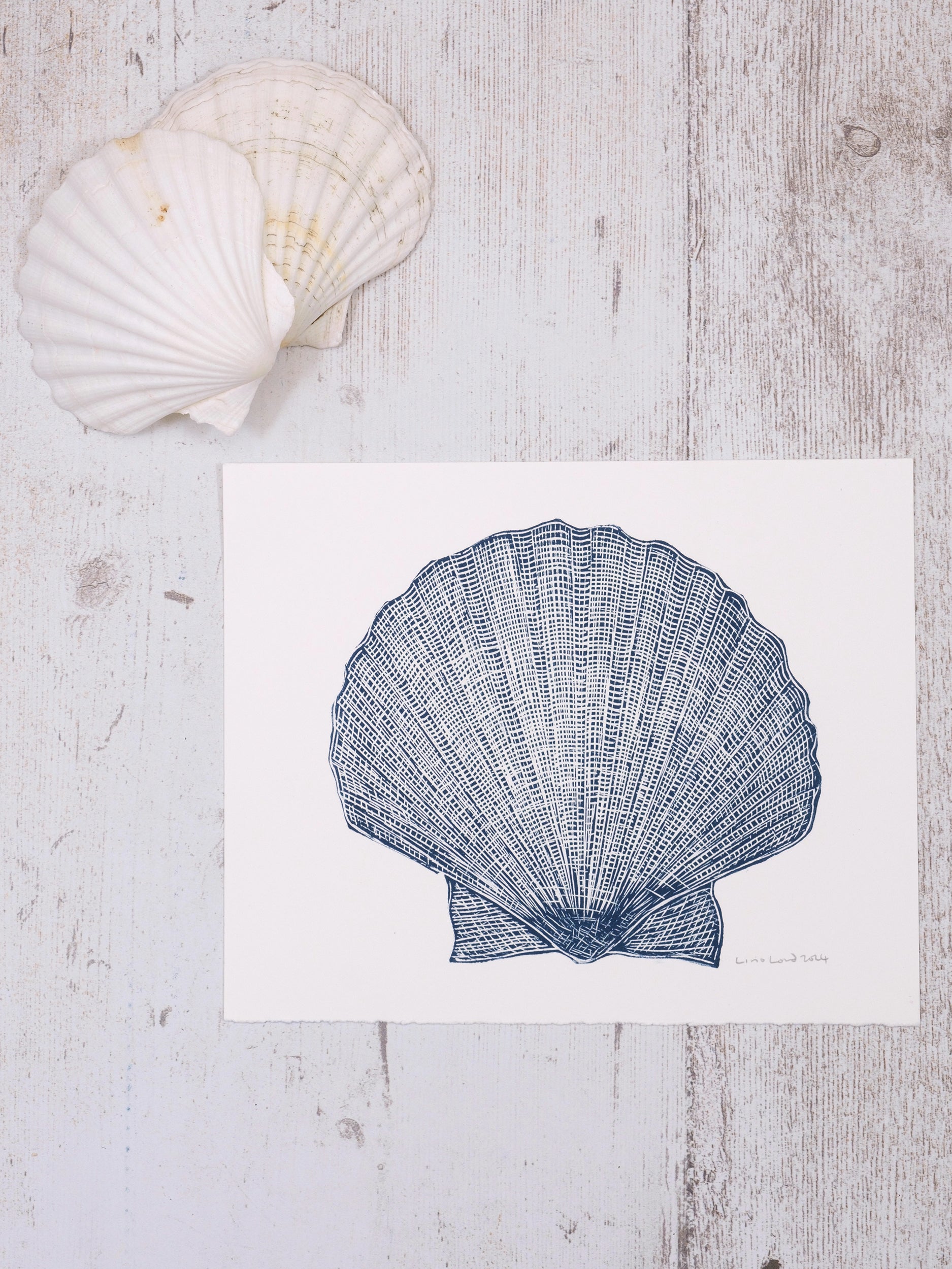 Scallop Shell Lino Prints | Lino Lord