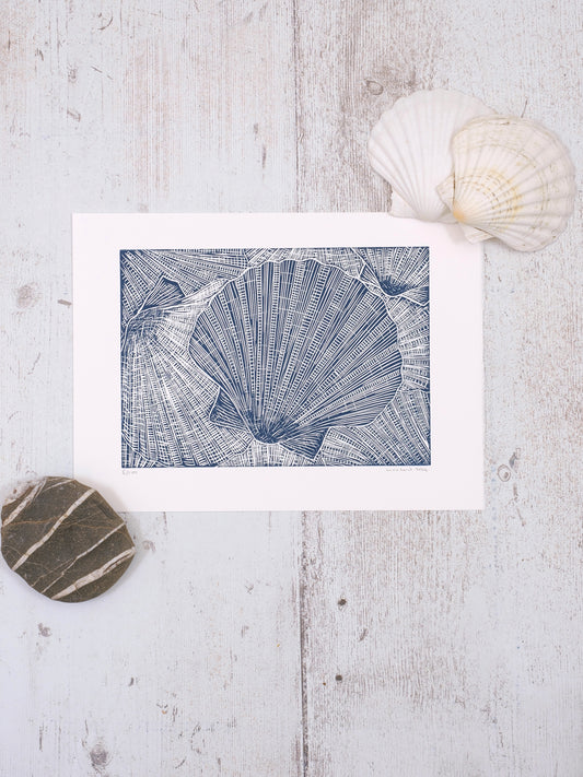 Collection of Scallop Shells Limited Edition Lino Print