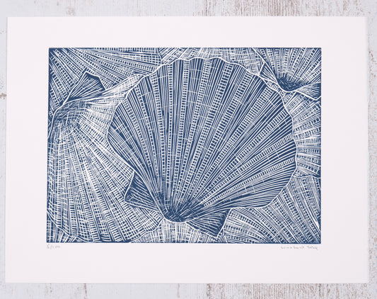 Collection of Scallop Shells Limited Edition Lino Print