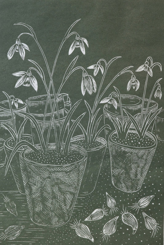 Snowdrops in Terracotta Pots in Potting Shed Lino Print - Wild Green Awagami