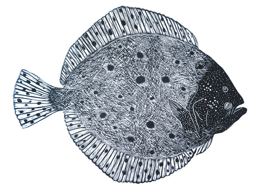 Turbot Limited Edition Lino Print - Black