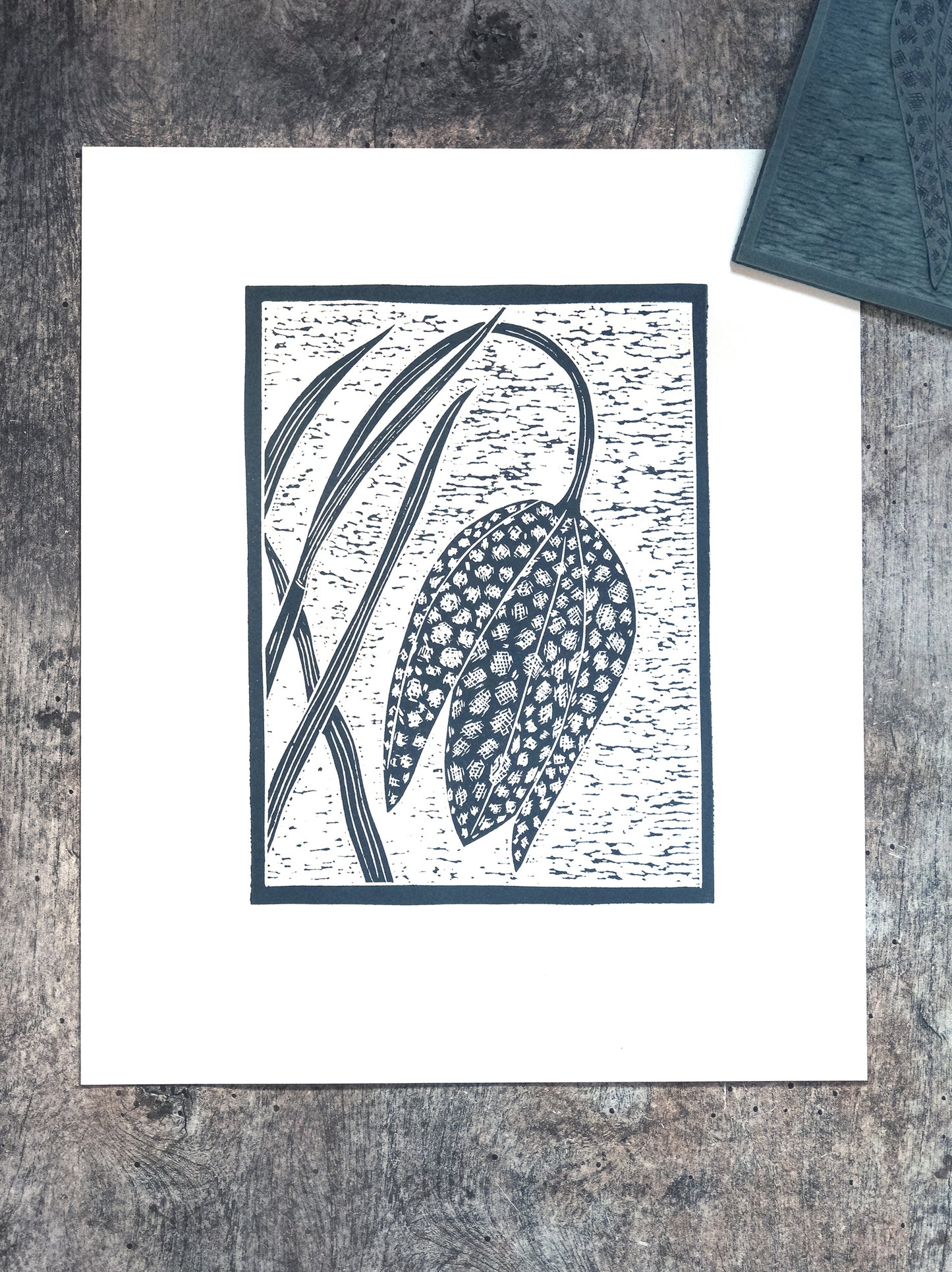 Snakeshead Fritillary, Limited Edition Lino Print