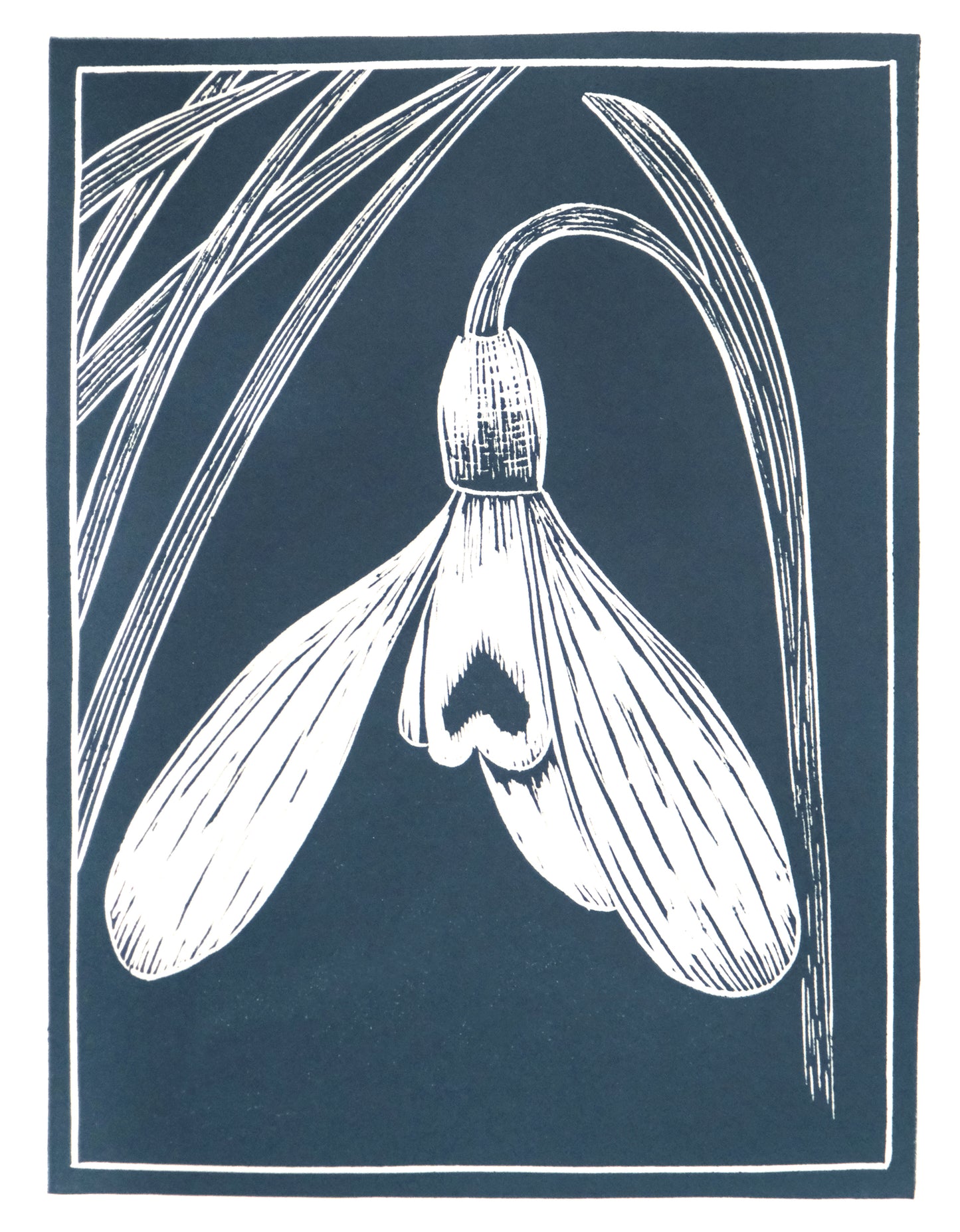 Snowdrop Detail, Limited Edition Lino Print