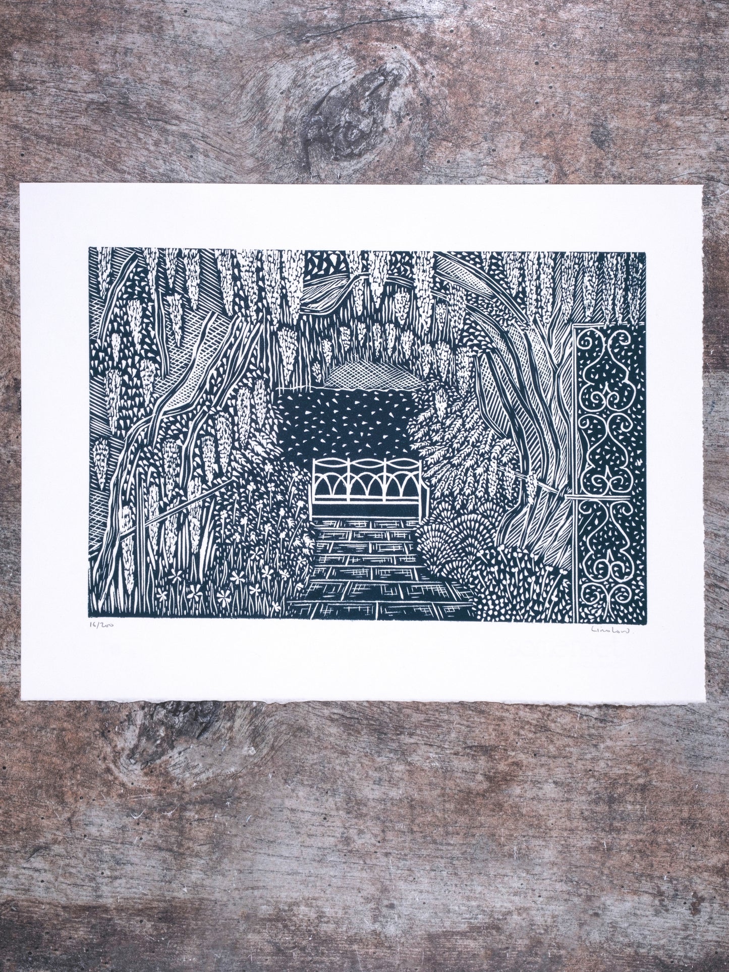 Wisteria Tunnel, Waterperry Gardens, Oxfordshire Lino Print