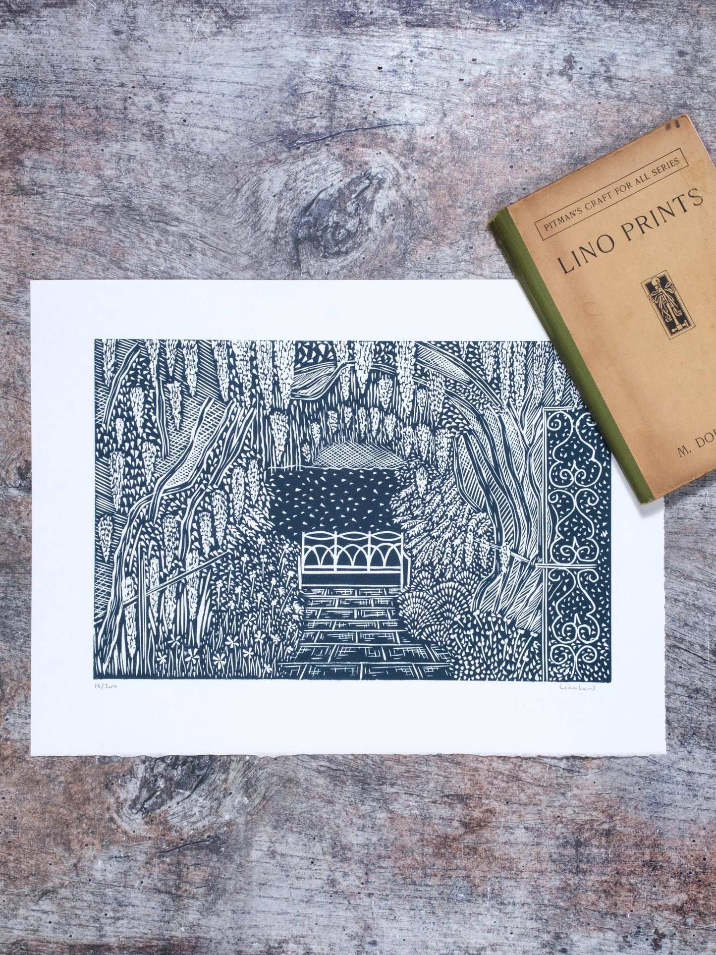 Wisteria Tunnel, Waterperry Gardens, Oxfordshire Lino Print