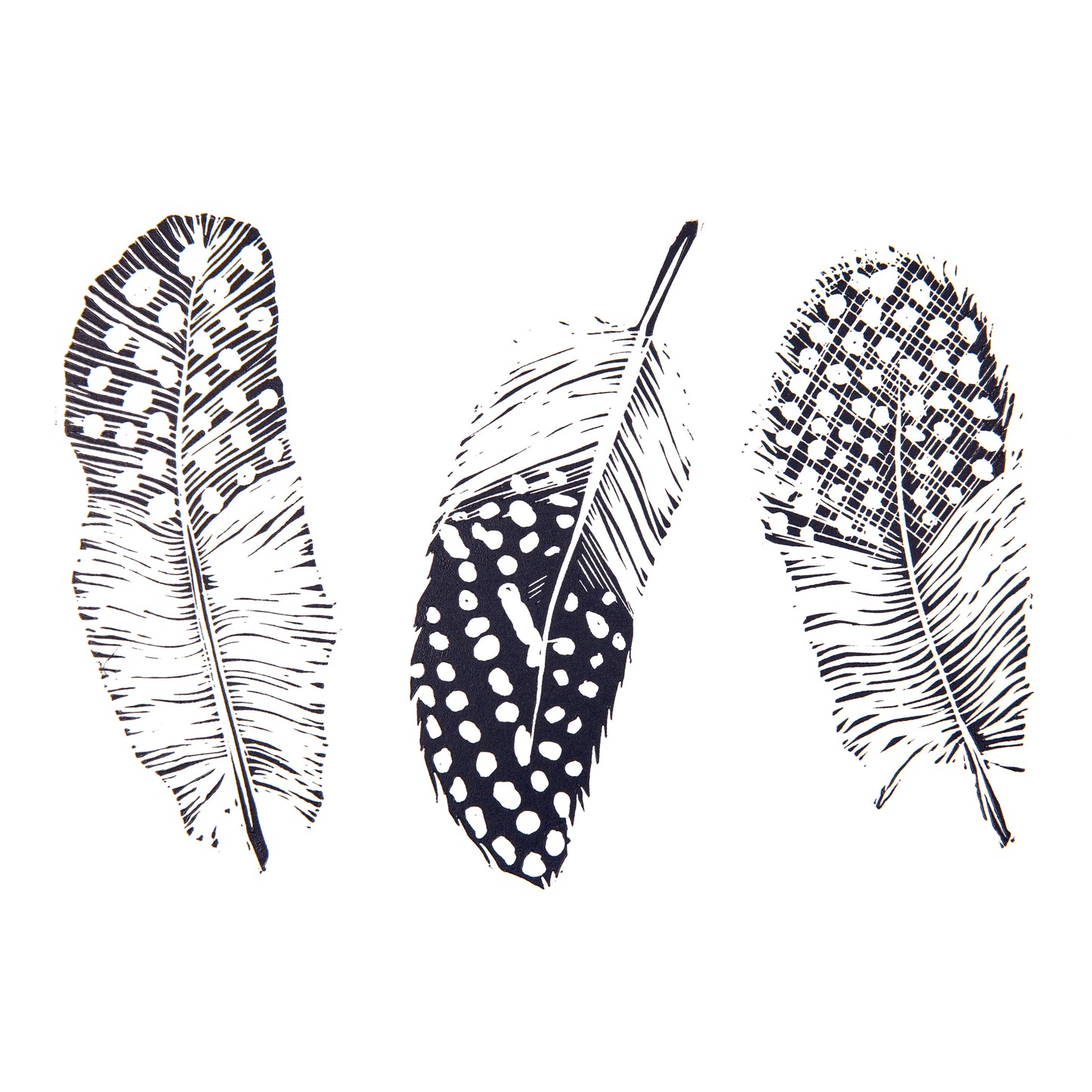 Guineafowl Feather Greeting Card