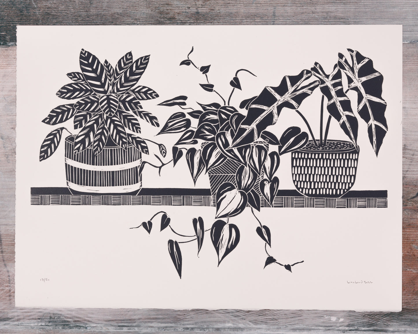 Three House Plants on a Shelf Limited Edition Lino Print