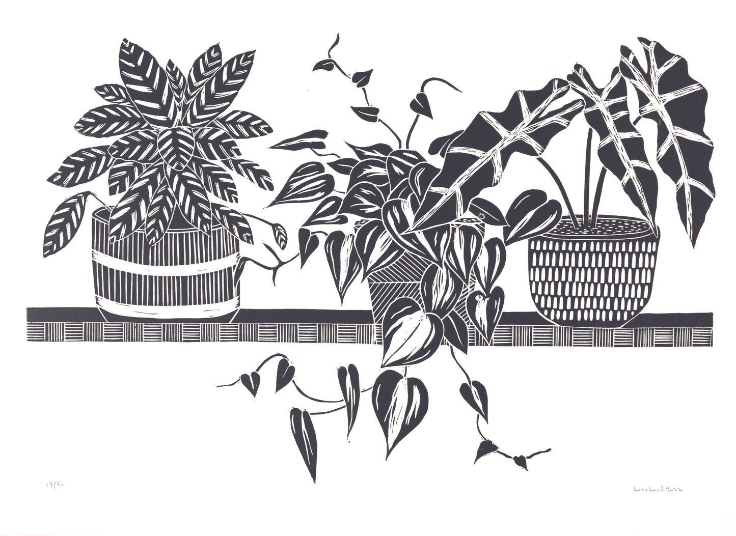 Three House Plants on a Shelf Limited Edition Lino Print